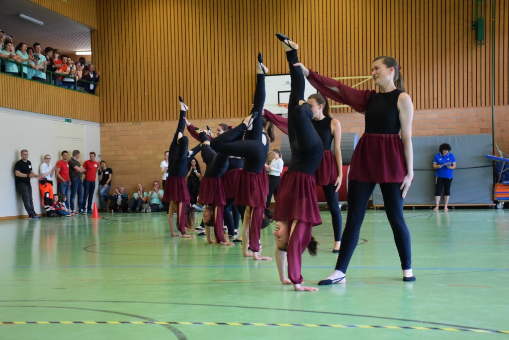 Bild (243)